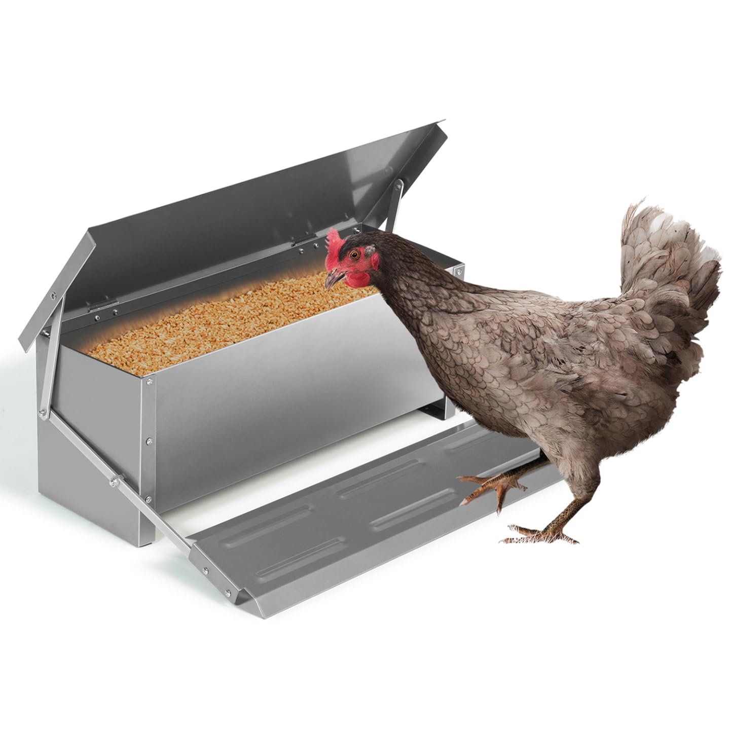 Alimentador XXL para gallinas, dispensador automático con pedal de acero 10 kg