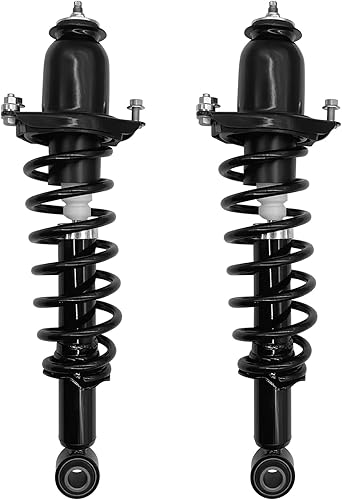 Miniatura 1 de Par trasero completo de resorte de puntal compatible con CorollaMatrixVibe 2003-2008 - 171373L, 171373R