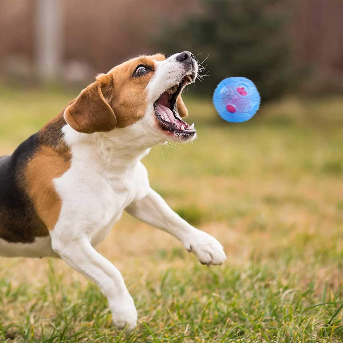 Pet Supplies Iefiel Pet Dog Cats Bouncy Chew Chase Ball Interactive Iq Treat Food Dispensing Ball Training Toys Blue One Size Amazon Com