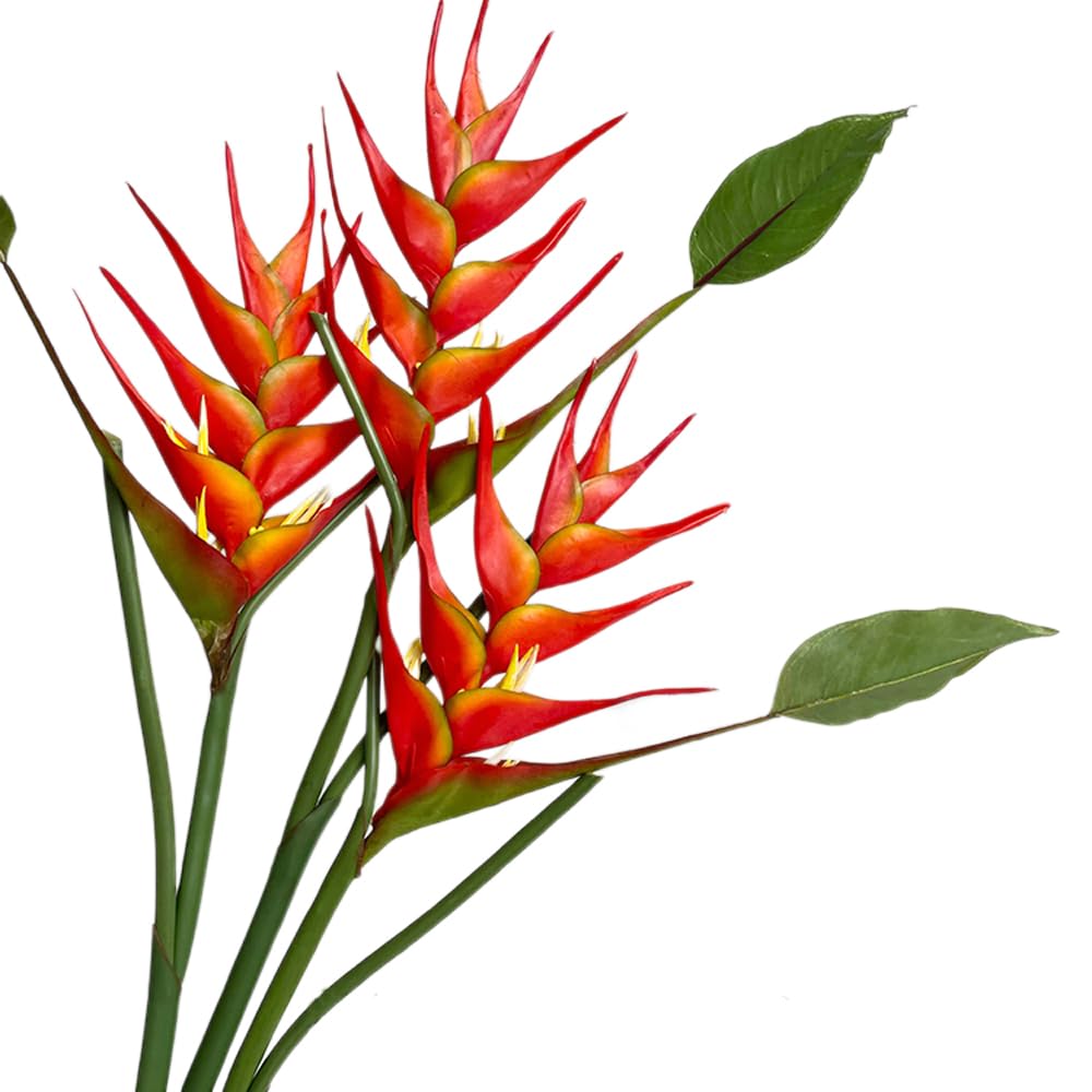 Artificial Heliconia Faux Bird of Paradise Flowers, 3 Pack, 25 in Height, Red/Orange, for Home/Office Decor (orange)