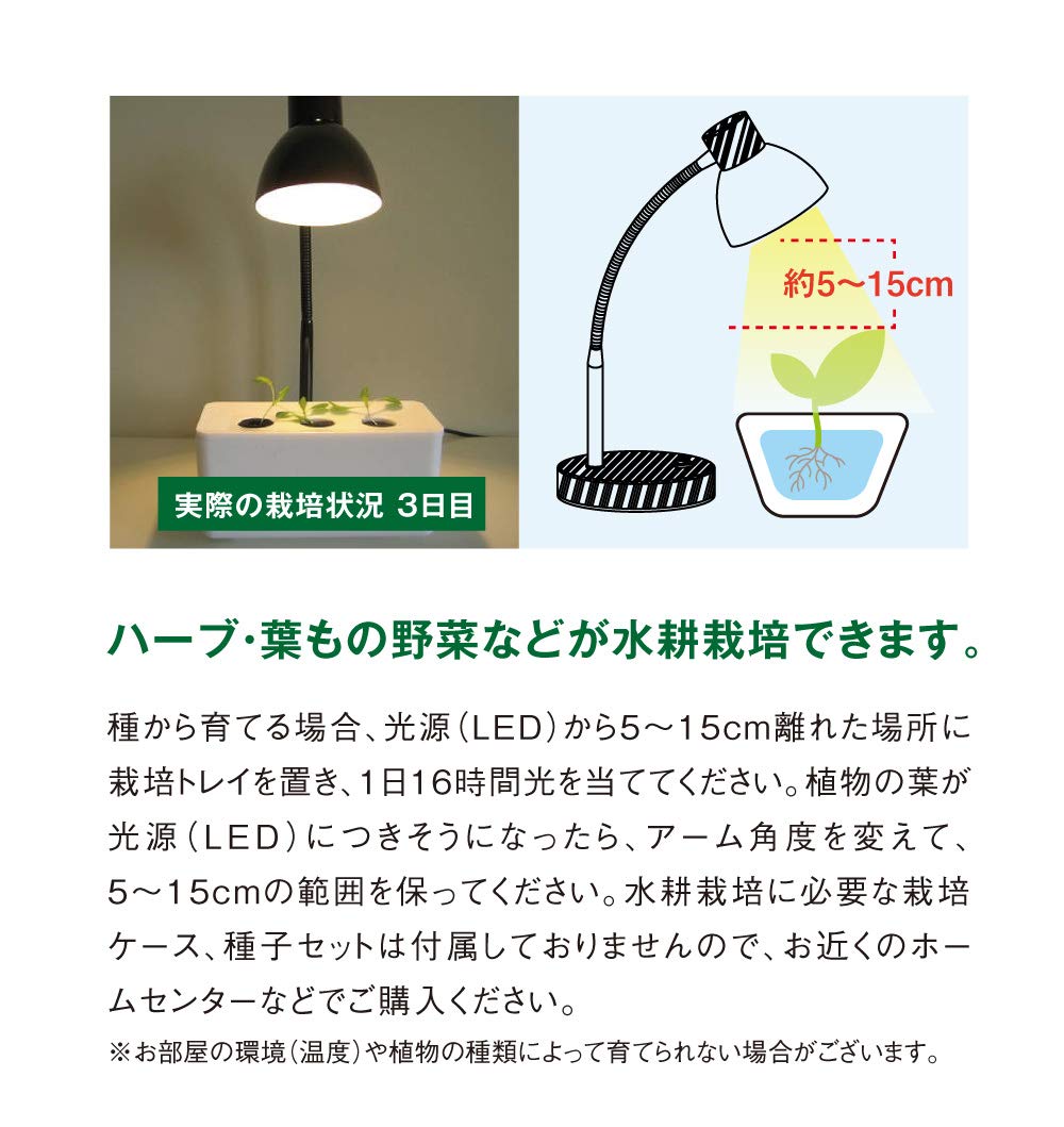 Amazon | オリンピア照明 MotoM モトム LED テーブルランプ 白木