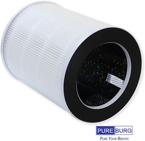 Miniatura 3 de PUREBURG Filtros HEPA de repuesto P100 compatibles con purificador de aire Welov P100 P100-RF, H13 4 etapas de filtración de carbón activado 2 en 1