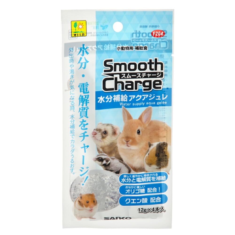 食糧補充　英語　4枚セット チーズタルト6P BOX〈オリジナルチーズタルト2個・抹茶チーズ