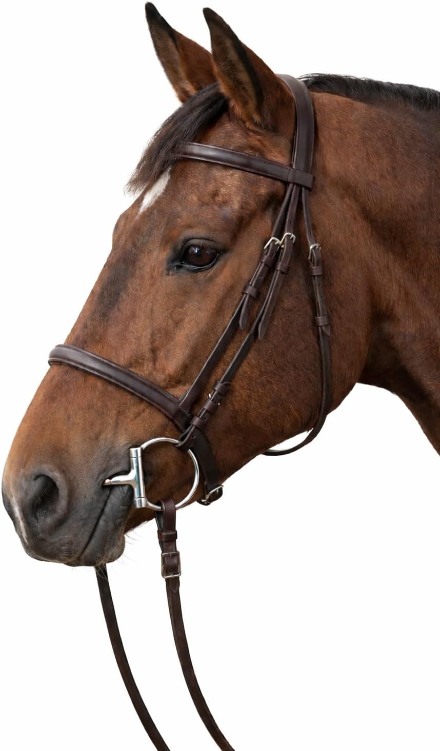 CHALLENGER Horse Stainless Steel Hinged Copper Roller Mouth D-Ring Snaffle Bit 35321v