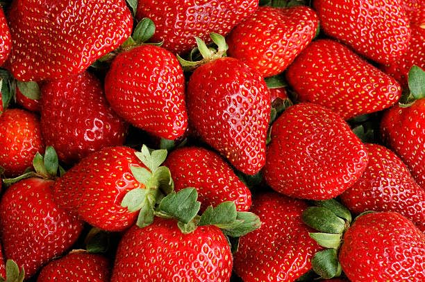 Cream Strawberry Seeds for Planting (Akihime Variety) 2000+ Heirloom Non-GMO Seeds Super Sweet & Creamy Flavor Big Juicy Sweet Strawberries Perfect for Home Garden Fresh Gourmet Eating