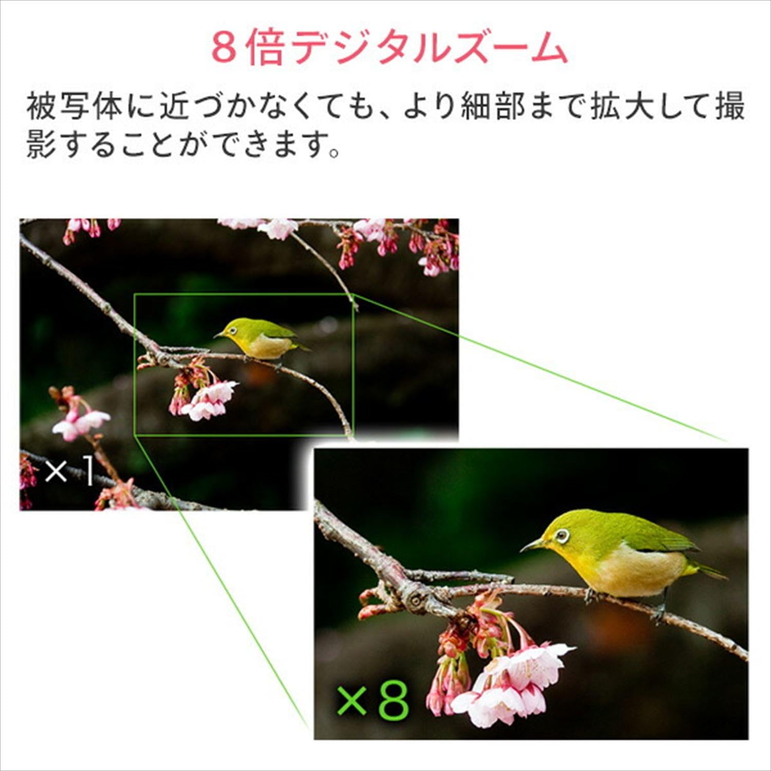 Amazon | フィールドスリー コンパクトデジタルカメラ F3DCAF-01 