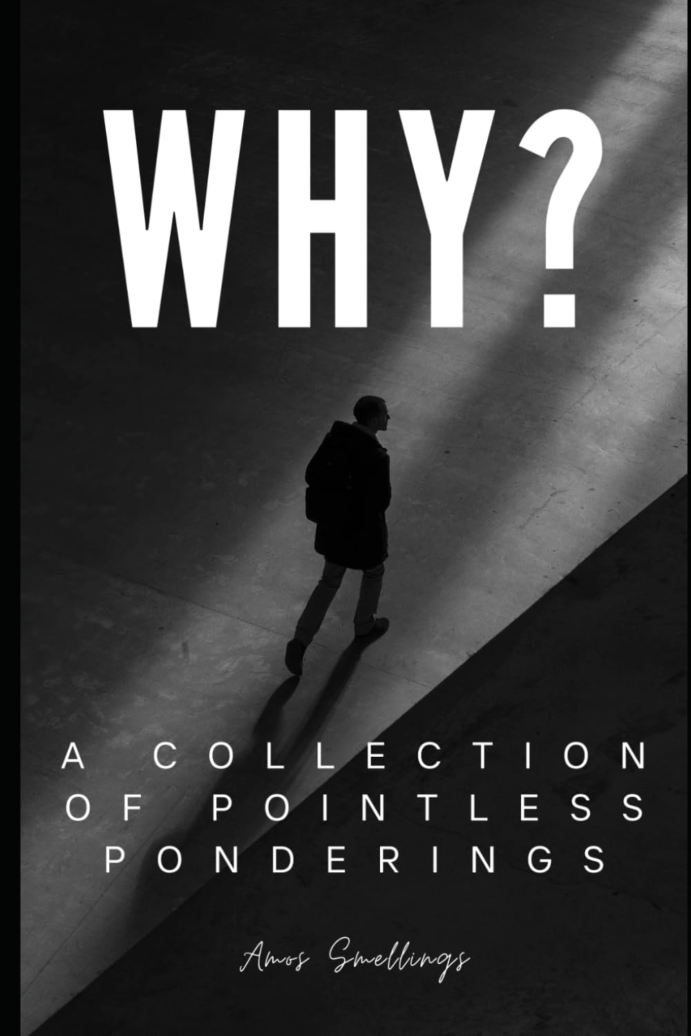 Why? A Collection of Pointless Ponderings