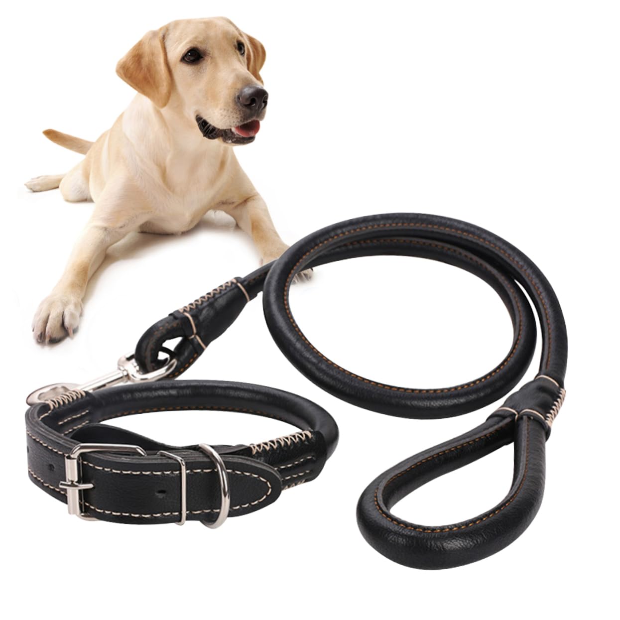 BESPORTBLE 3 Piezas Correa para Mascotas cinturón para Perros Correa de Cachorro Gargantilla Correa de Remolque Mascota tirando de la Cuerda Suministros de Mascotas Perros y pequeños