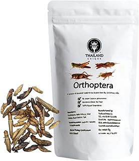 Thailand Unique Orthoptera Mixed Insects - 15G Bag of Dehydrated Salted Grasshoppers, Mole, Field, House Crickets for Humans, Nutritious Bugs Superfood Unusual, Weird