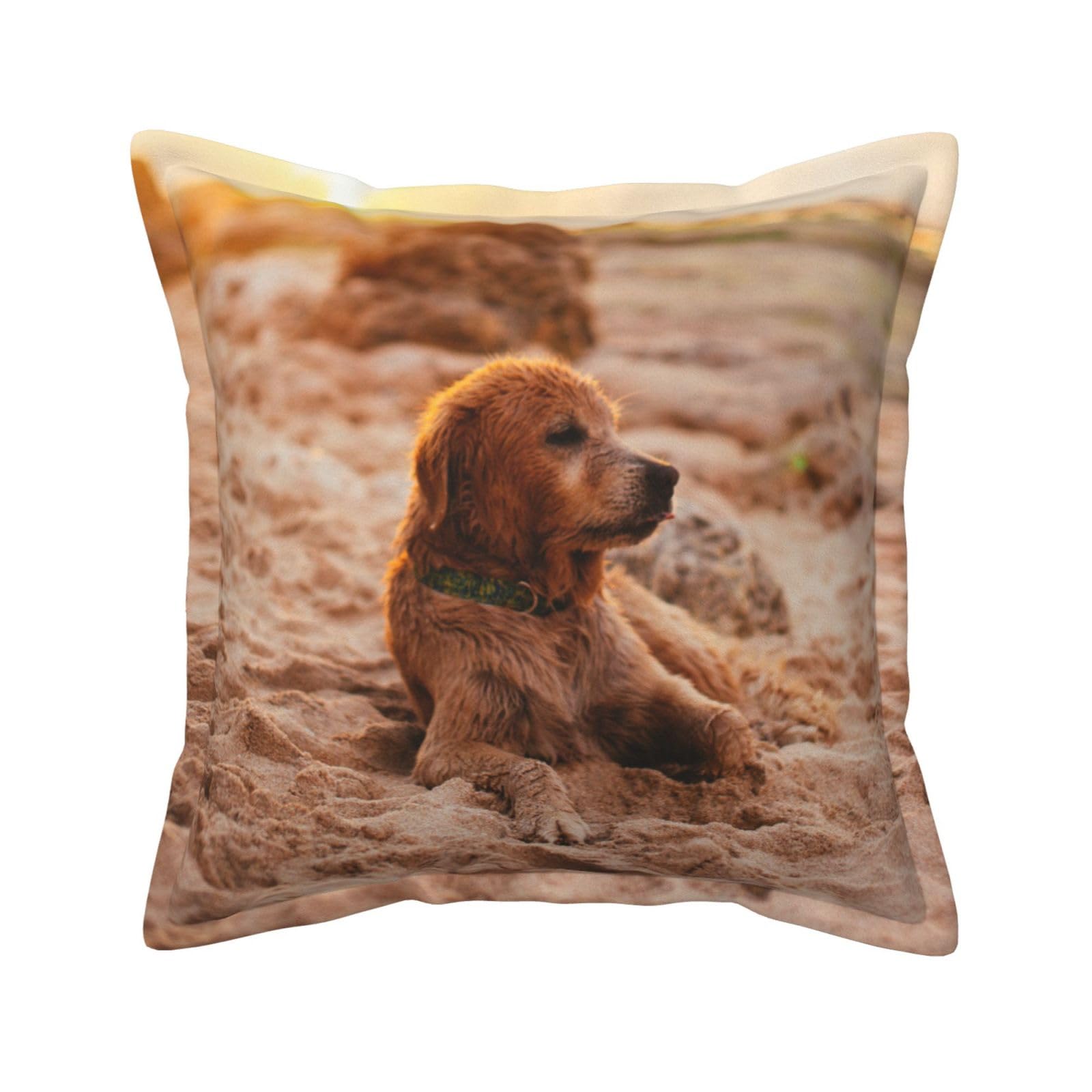 Housses de coussin en cuir imprimé rustique pour rénover vos vieux coussins de canapé