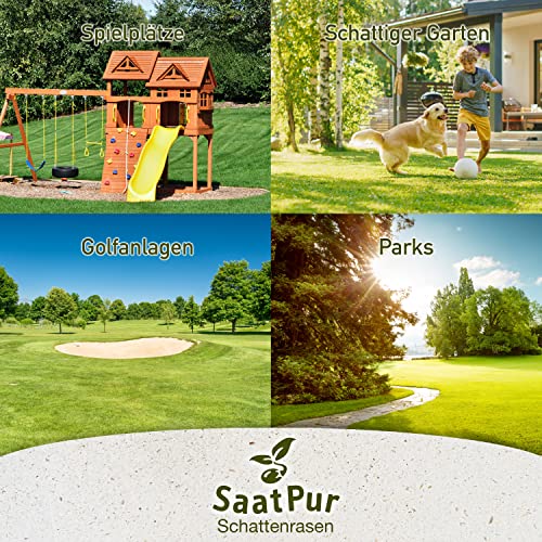 Foto von SaatPur® Rasensamen Schattenrasen 10kg für ca. 300 m², Mehrjährige Rasemischung aus mehreren Rasenarten, meistens 4 bis 5, satt grün, schnellkeimend, hitzetolerant, Neusaat und Nachsaat