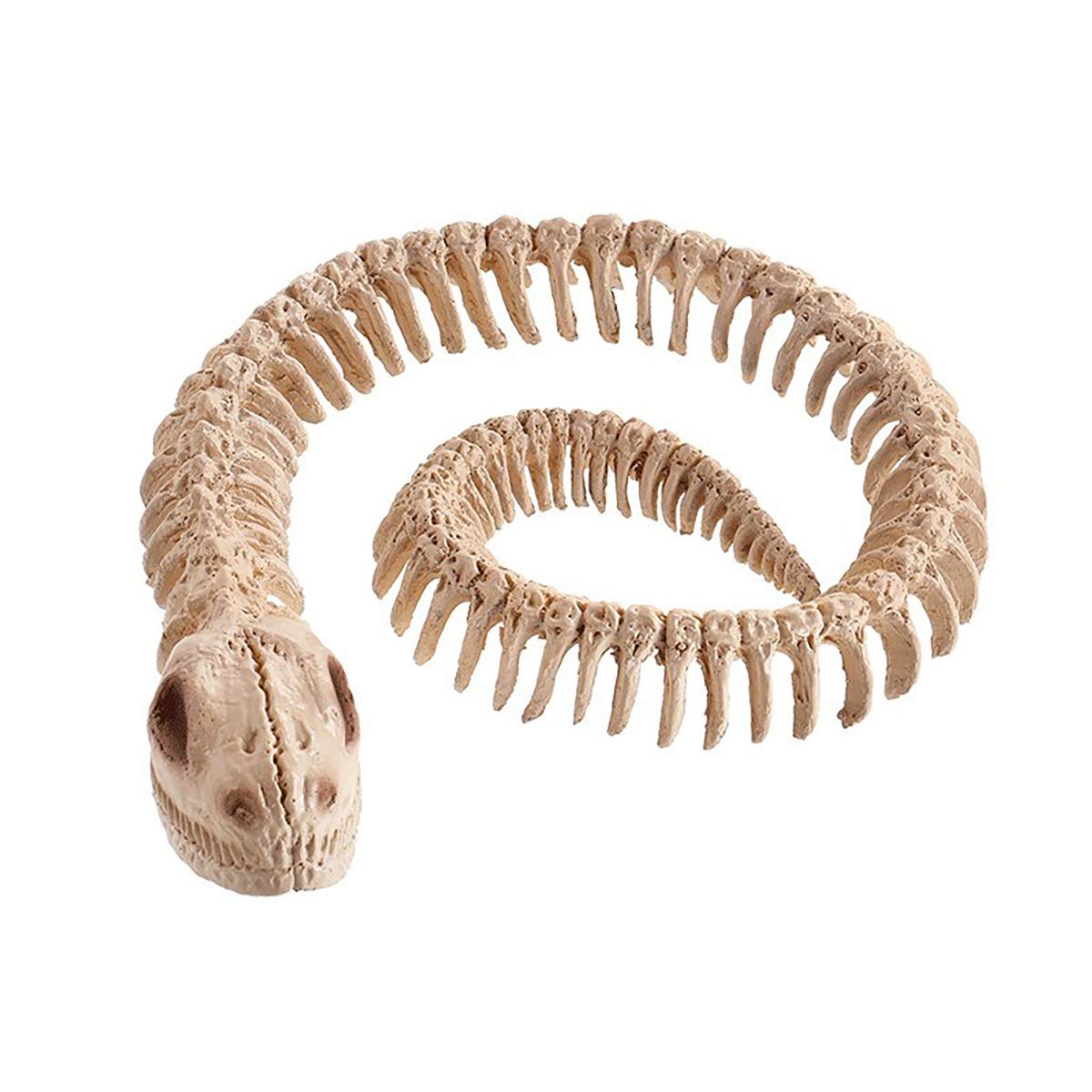 Python Skeleton