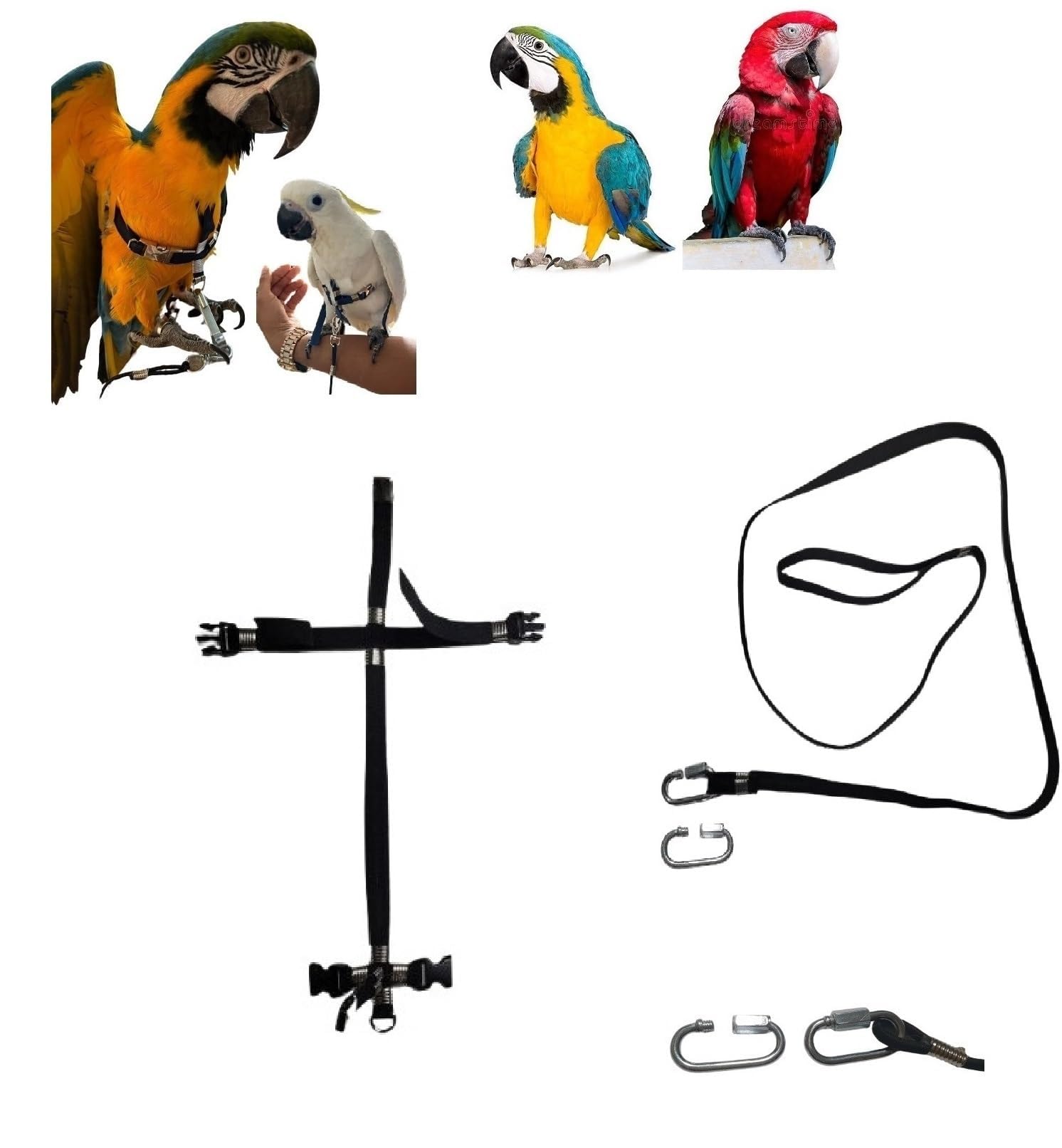 Peigne en cuir noir élastique ruban 10 mm et boucle plastique pour sangle de plongée