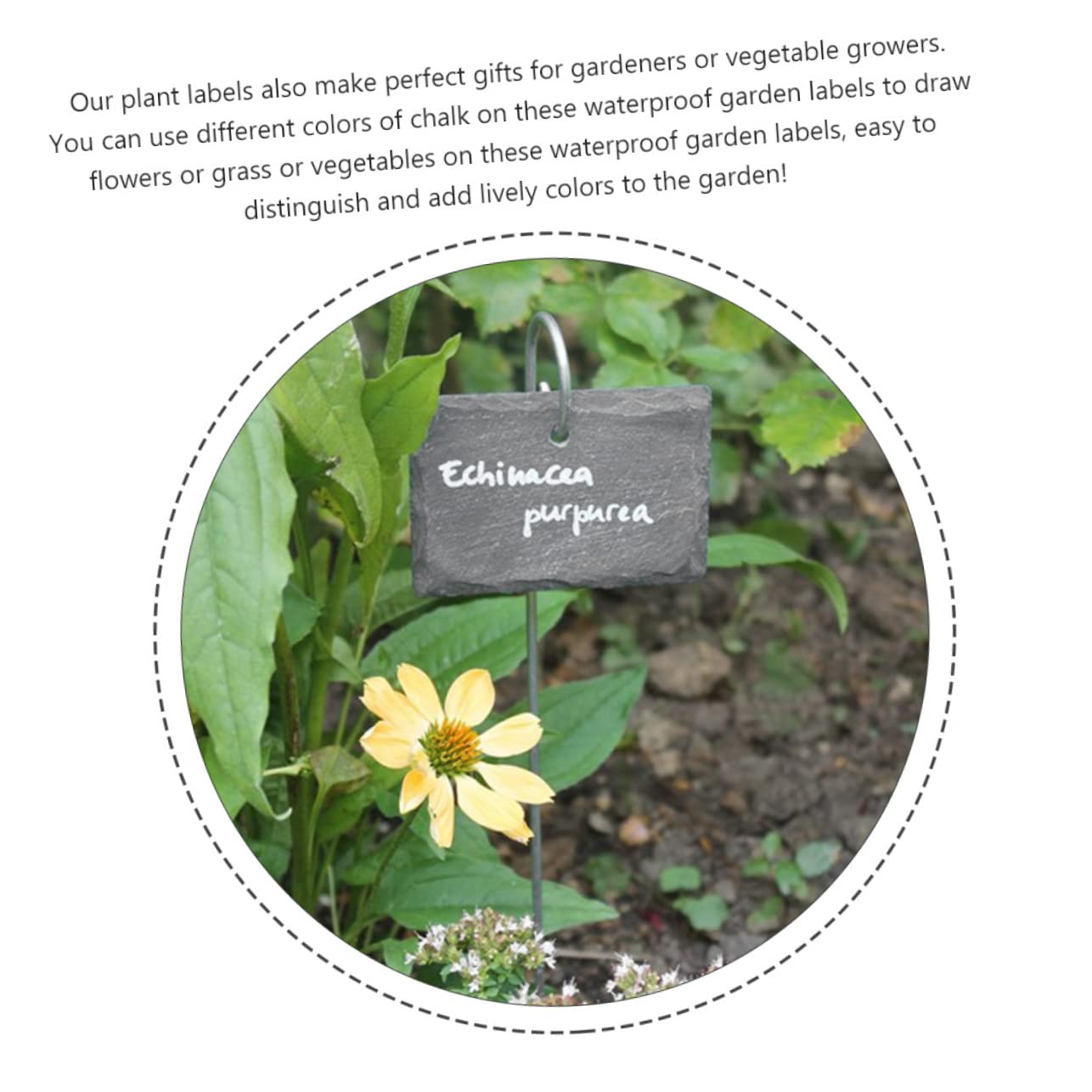 Etichette per Piante in Ardesia, Leggere e Facili da Scrivere, per Vasi da Fiori e Parchi