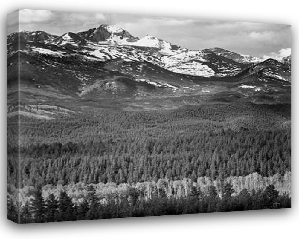 ArtDirect Longs Peak from Road, Rocky Mountain National Park, Colorado, 1941 II 18x15 Gallery Wrapped Canvas Museum Art by Adams, Ansel