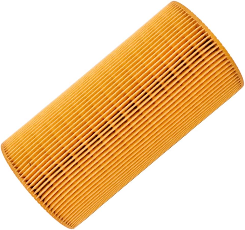1948921PE Oil Filter Replace 57370 LF16233 P550812 LP6043 P40019 1629393 1643070 LEF5207 CH10949 E89HD213 P7354 HU12103X Compatible with Paccar MX11 MX13 EPA13 Peterbilt DAF Kenworth Truck(Pack of 4)