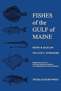 Fishes of the Gulf of Maine (Fishery bulletin)