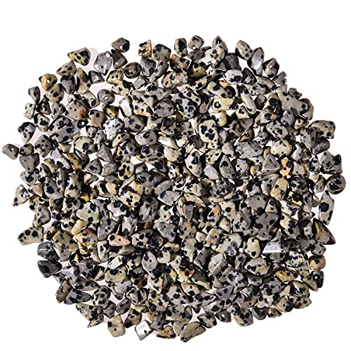 Asingeloo 5-8mm Wholesale White Dalmatian Tumbled Chip Stone Beads Bulk Irregular Shaped Drilled Loose Gemstones Beads with Box for DIY Jewelry Making