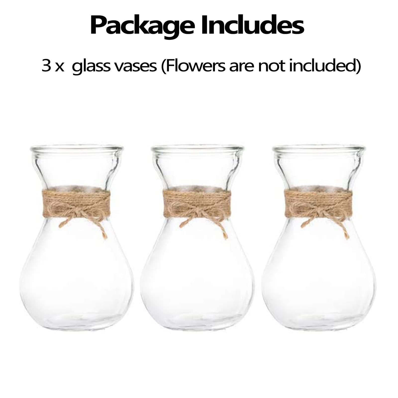 Hewory Lot de 3 petits vases en verre pour centres de table – Mini vase transparent en jacinthe d'avocat en vrac, jolis petits pots de fleurs forçant pour mariage, maison, salon, décoration de table