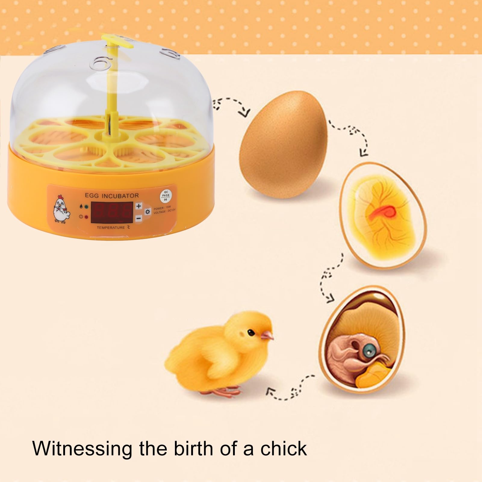 Fockety Incubatrice per 6 Uova, Macchina per la Cova delle Uova con Candeliere Intelligente con Controllo della Temperatura, Incubatrice per Galline con Giramento Uova Automatico a