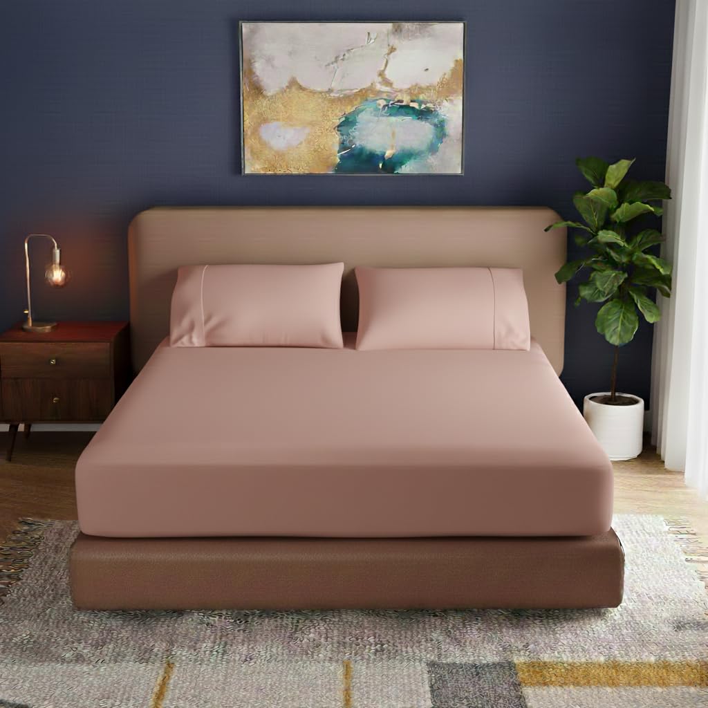 400TC 100% Egyptian Cotton Queen Fitted Bedsheet (60 x 78 inch) | All-Round Elastic | Fits Upto 12" Mattress | Soft & Durable | with 2 Pillow Covers | Cameo Rose Solid Bedsheet Set-image-43