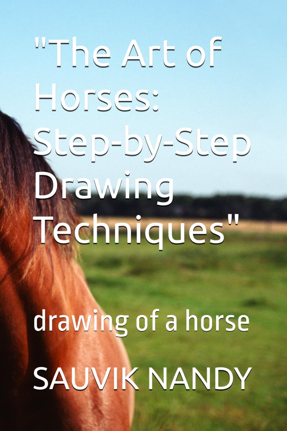 "The Art of Horses: Step-by-Step Drawing Techniques": drawing of a horse