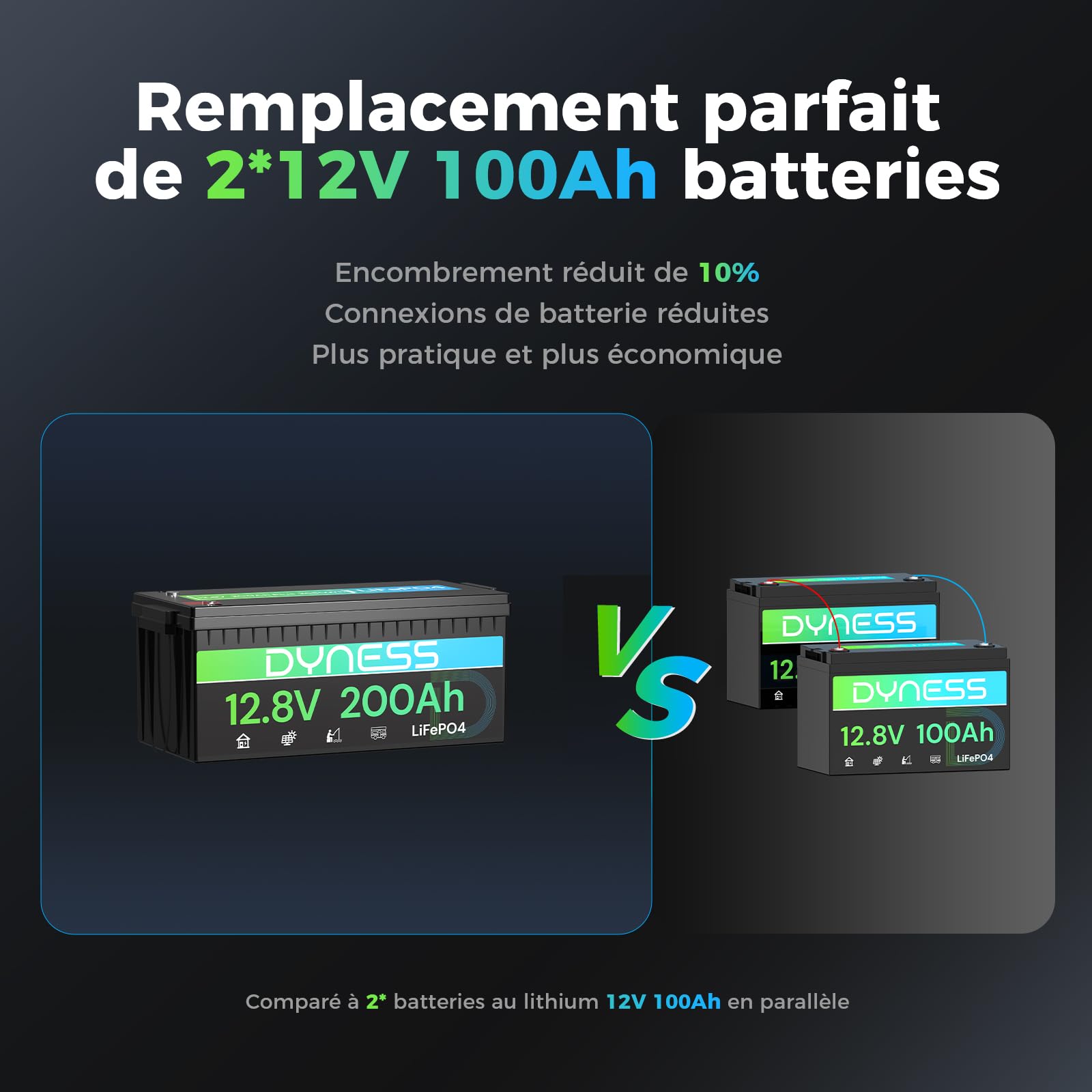 Dyness Batterie Lithium 12V 200Ah LiFePO4 avec BMS 200A intégré et Protection Basse Température, 2560Wh pour Camping-Car/Marin à Décharge Profonde, Solaire, Aventure/Van, Hors-Réseau