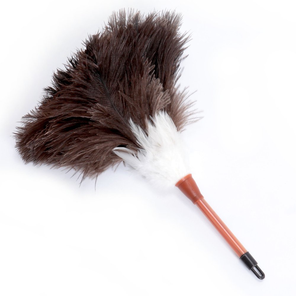 Amazon.co.jp: 松本羽毛合同会社