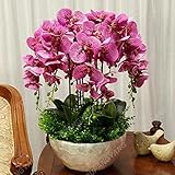 100 Samen/pack Japanische Radiata Samen weißer Reiher Orchid Seeds Welt Seltene Orchideen-Arten Weiße Blumen Orchidee Garten Pflanze Pflaume
