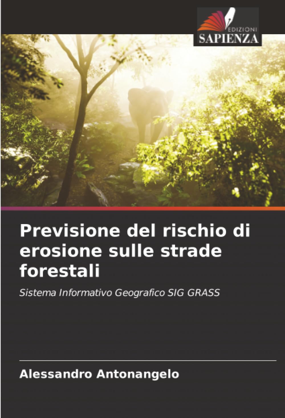 Previsione del rischio di erosione sulle strade forestali: Sistema Informativo Geografico SIG GRASS