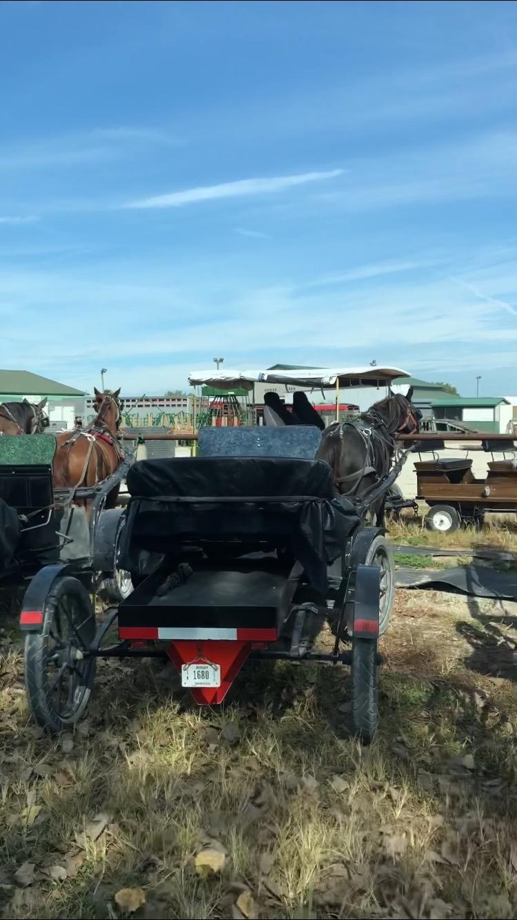 Should have elaborated more