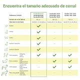 Ver la foto 2