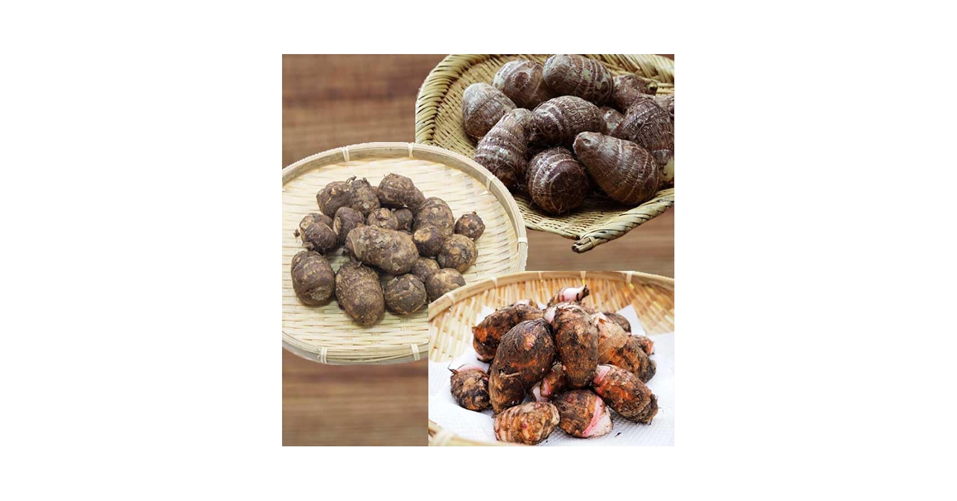 Amazon.co.jp: サトイモ 苗 1トレー 10.5cm 24ポット 3種