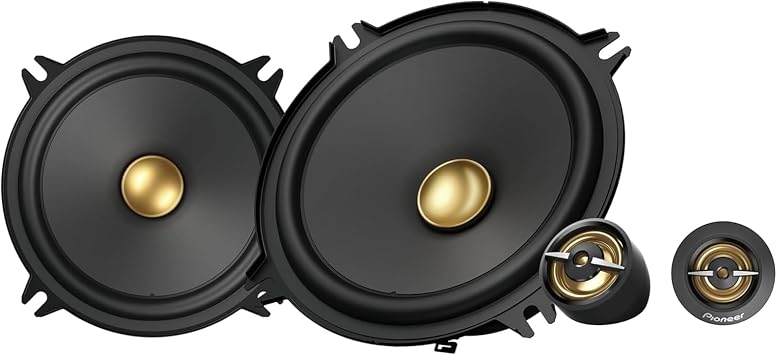 PIONEER TS-A1301C