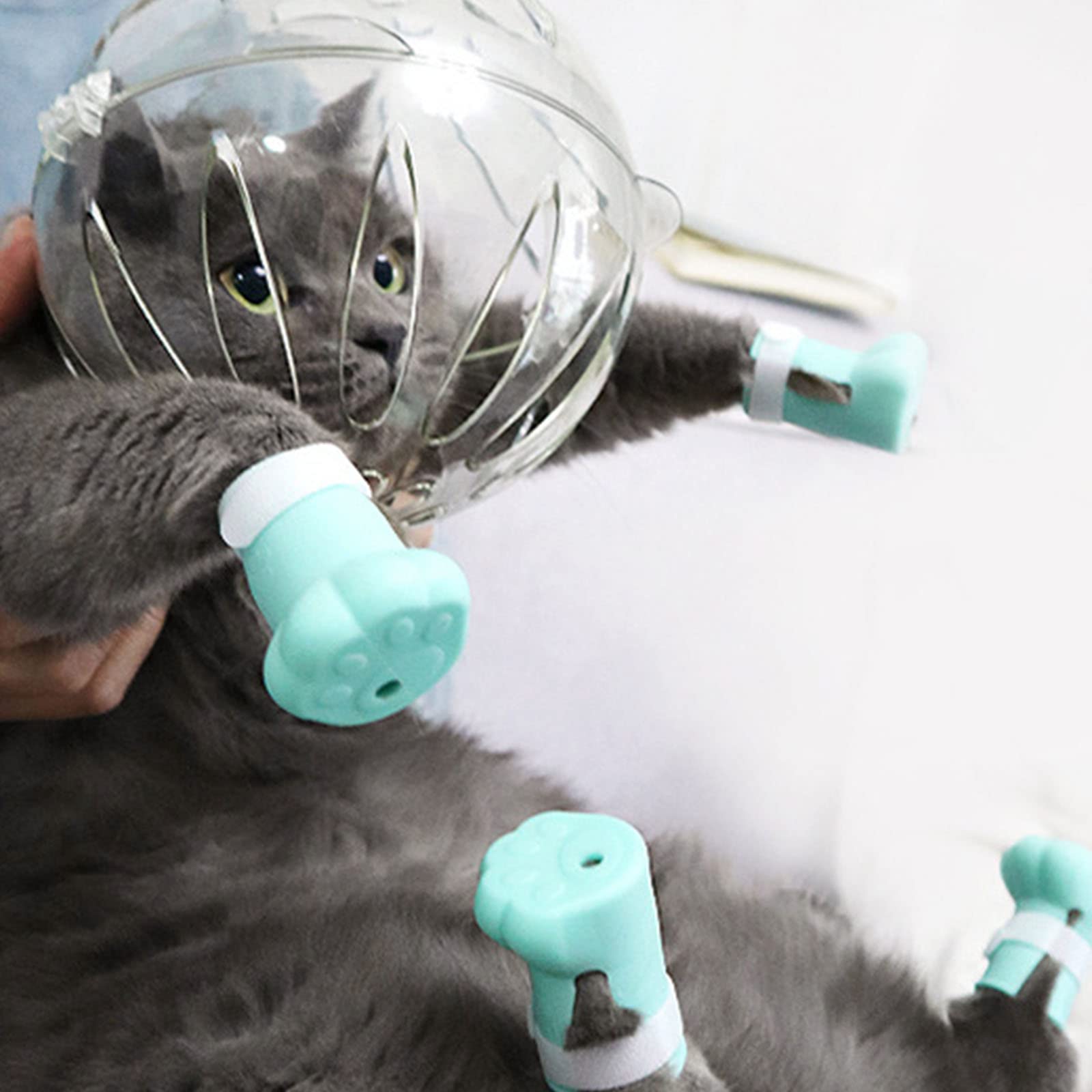 Headgear Pet Wound Recovery for Cats After Wound Protecting for Anti-Licking Clear Helmet