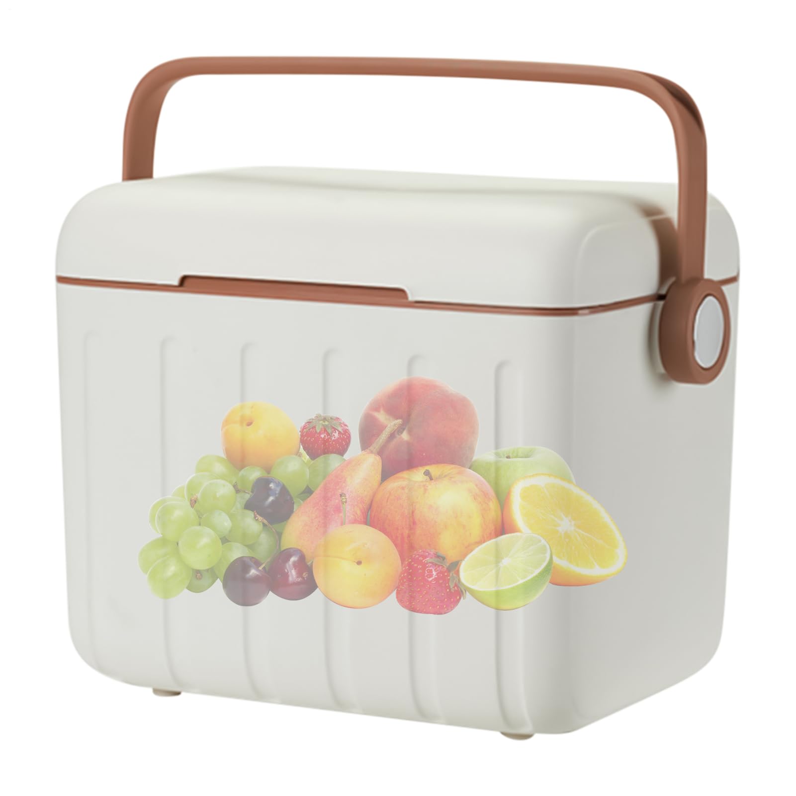 Contenitore termico per alimenti freddi, 6 l, portatile, per escursionismo, viaggi, pesca, sport, campeggio, spiaggia, palestra, disastri all'aperto