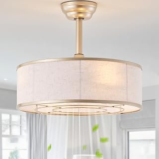 20" Gold Caged Boho Fandelier Ceiling Fan with Light & Remote Control - Bladeless Chandelier Fan, 6 Speed Quiet Reversible Motor for Bedroom, Nursery, Living Room