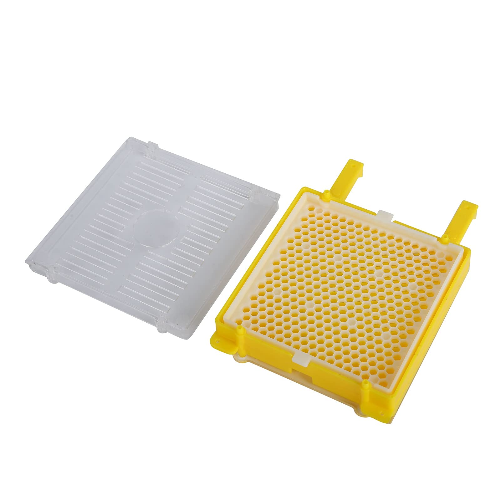 Strumenti Per L'apicoltura, Scatola Per L'apicoltura, Kit Per Il Sistema di Apicoltura Scatola Per Il Sistema di Allevamento Dell'ape Regina Scatola Per L'allevamento Dell'apicoltura Kit Per Innesto