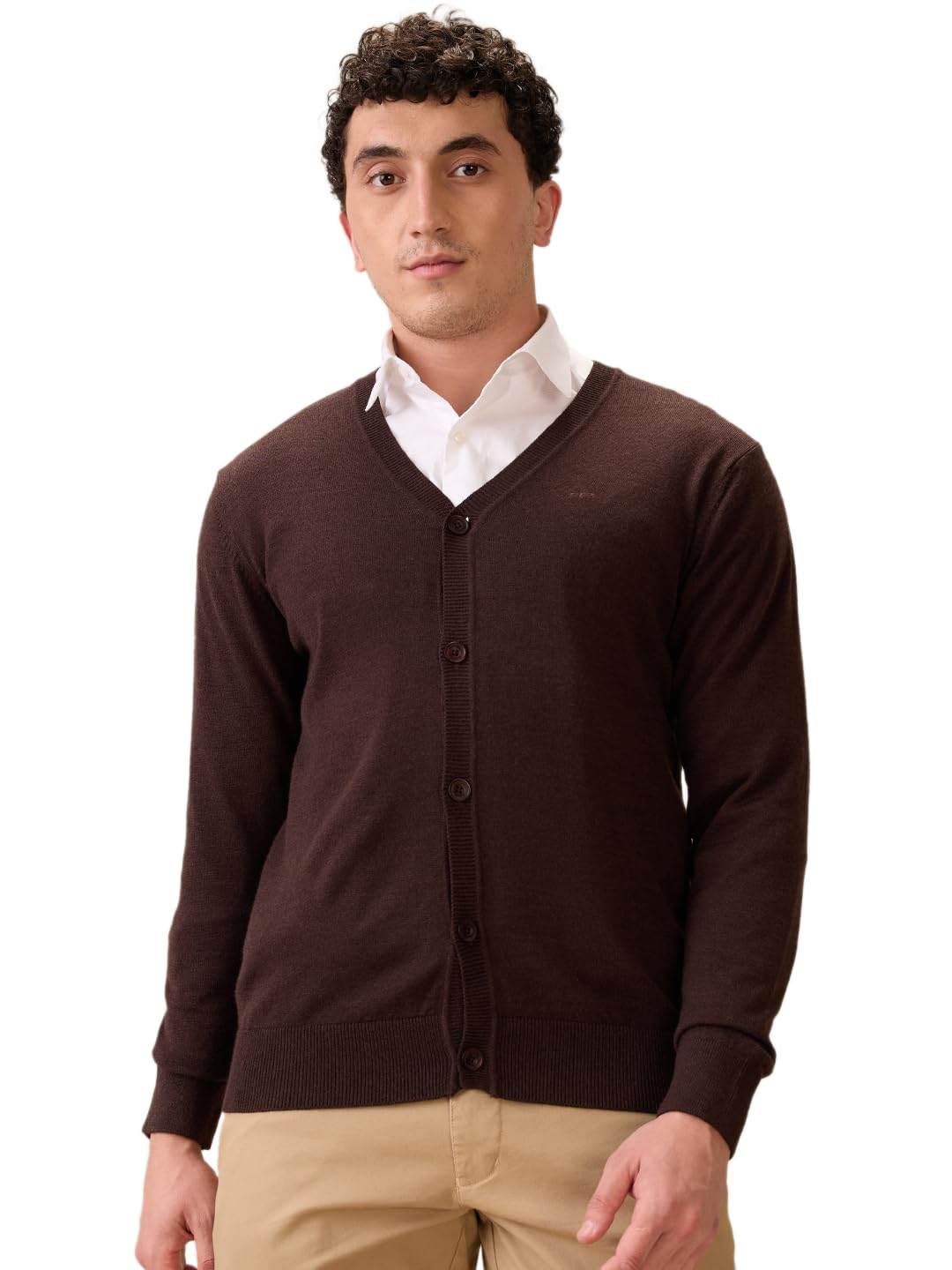 colorplus Men Full Sleeve Regular Fit Plain Pattern Marino Wool Acryalic Blend V Neck V Neck Casual Winter wear-picture-25