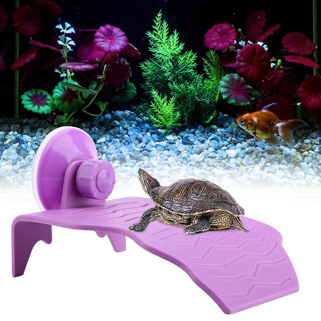 Foto 7 de 8 de FTVOGUE Tortuga de plástico Plataforma para Tomar el Sol Acuario Decoración Pecadero Ventosa Escalada Isla…