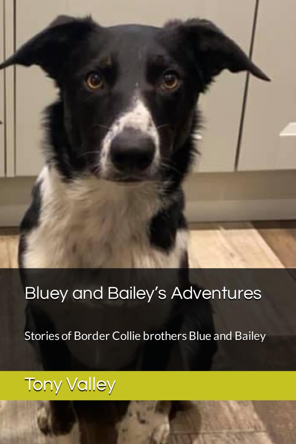 Bluey and Bailey’s Adventures: Stories of Border Collie brothers Blue and Bailey (Blue and Bailey - Border Collie Puppies)
