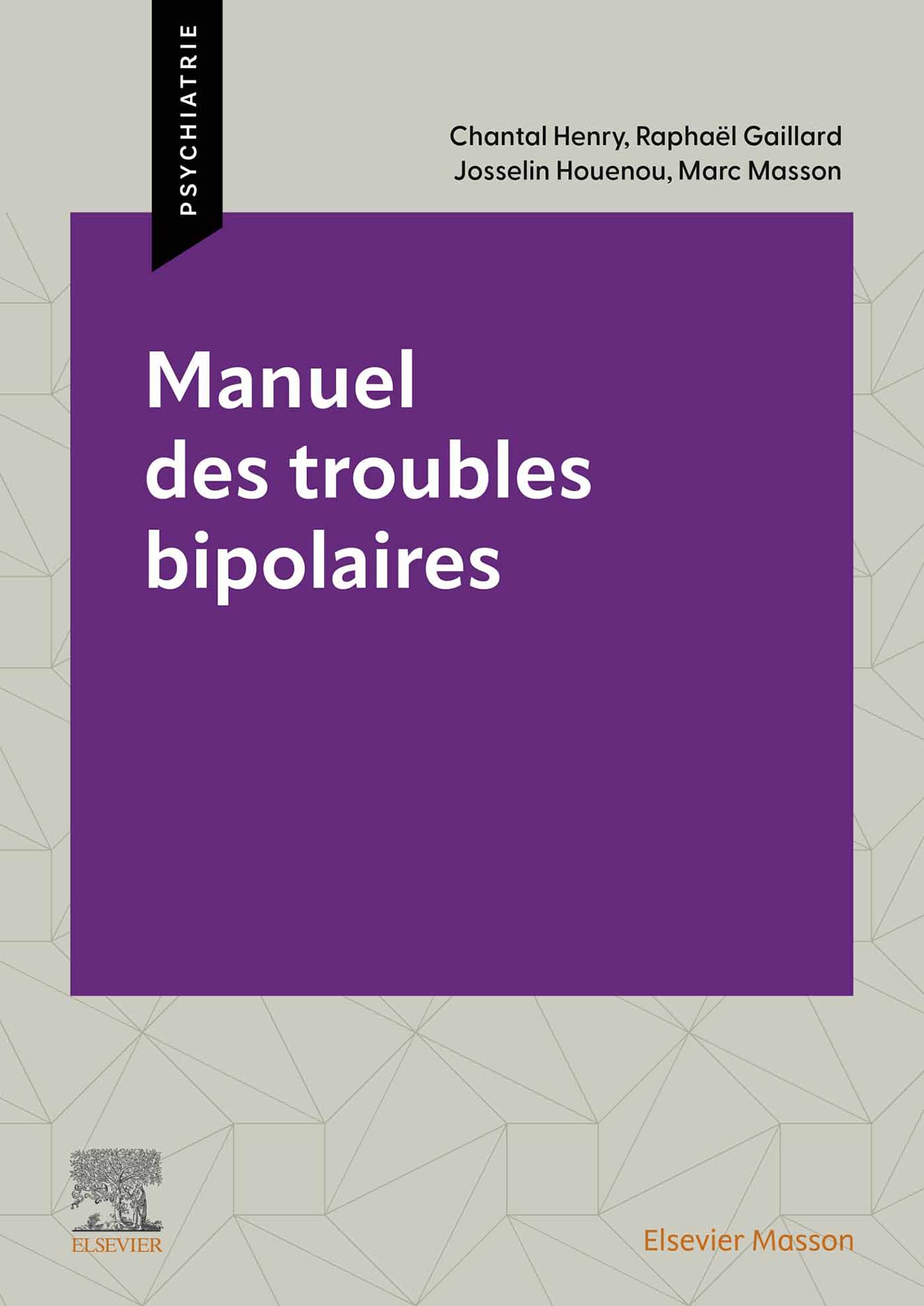 Manuel des troubles bipolaires (French Edition)