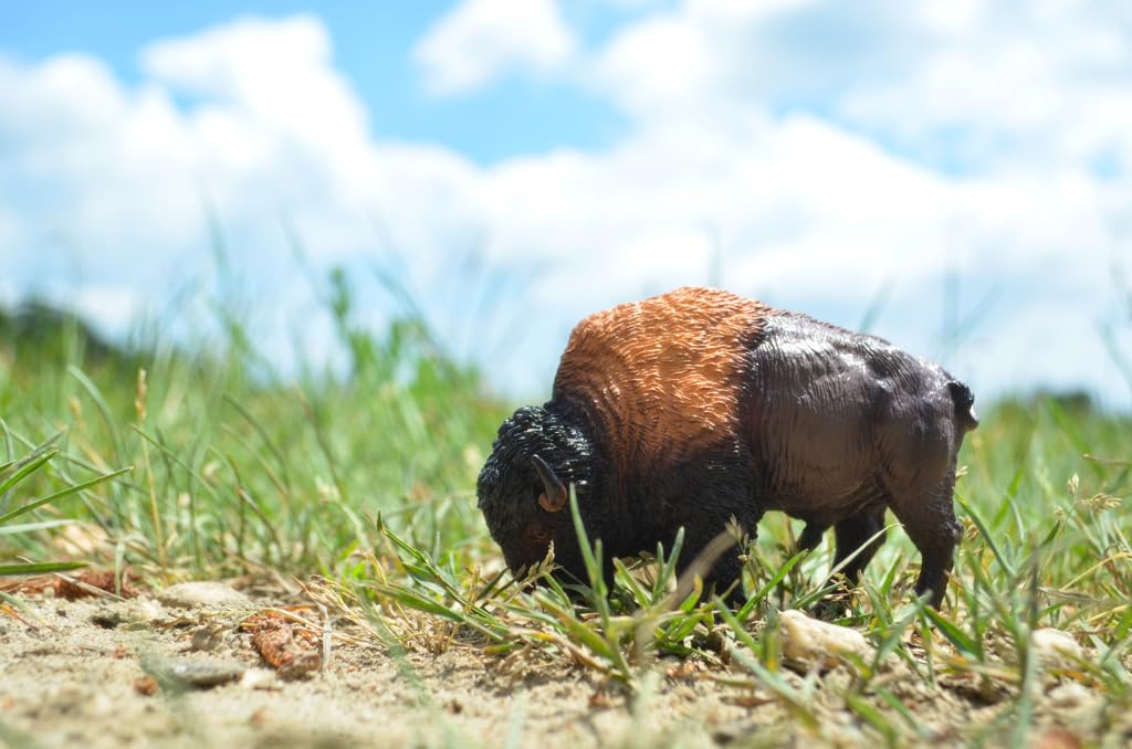 TOYMANY Bison figurki zwierząt stepowych, 9,9 x 3,6 x 6,7 cm