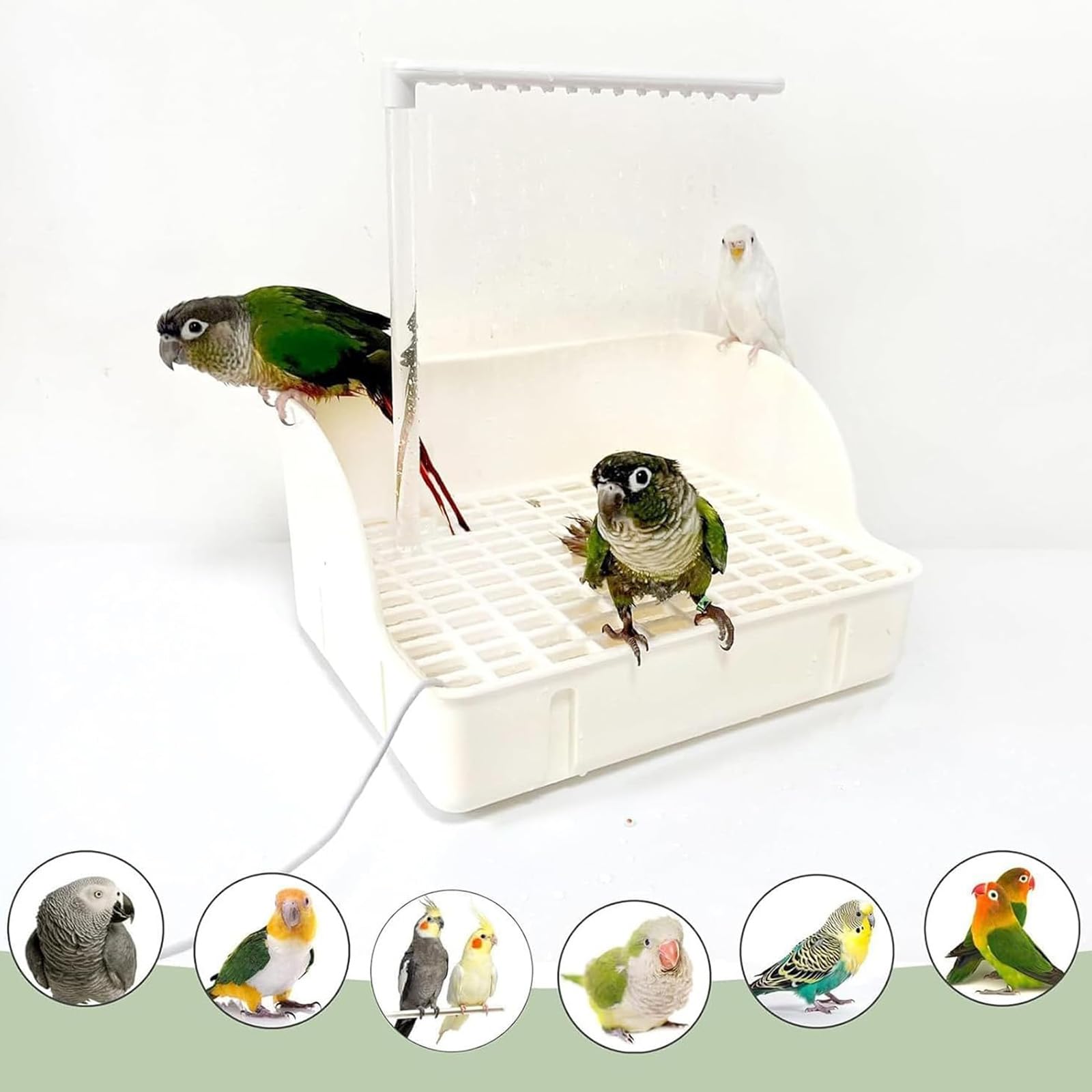 Bañera Automática para Pájaros,Baño Automático de Loros,Bañeras para Pájaros,Bañera de Ducha para Pájaros,Baño de Pájaros para Jaula,para Agapornis Gorriones Canarios Baño