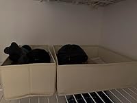 Review Image by Tina Tina