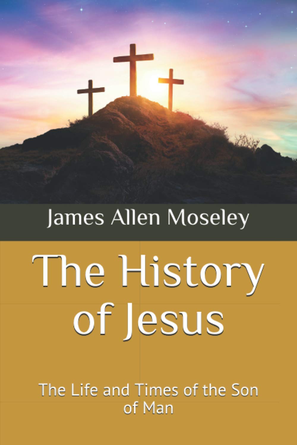 The History of Jesus: The Life and Times of the Son of Man (Bible Study Guides)