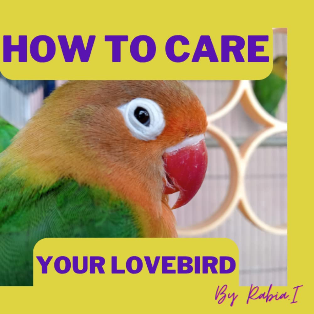 Lovebirds as a pet: Love birds Care Guide for Beginners Lovebird Training, Food, Health, Bonding, Habit. A complete Guide book: Dream Parrot love birds