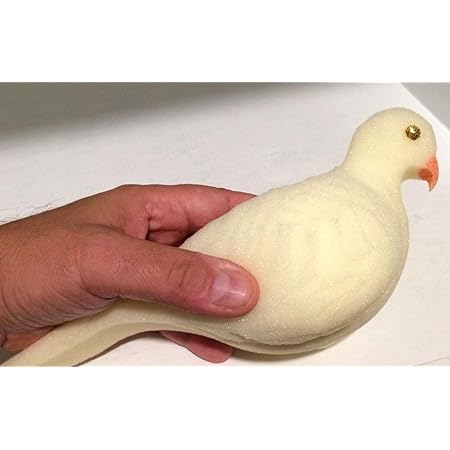 Amazon Com Lonestar Wholesaler Sponge Dove Magic Trick Magician Fake Bird Prop Health Personal Care