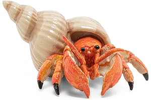 The Underwater Realm's Curious Hermit Crab