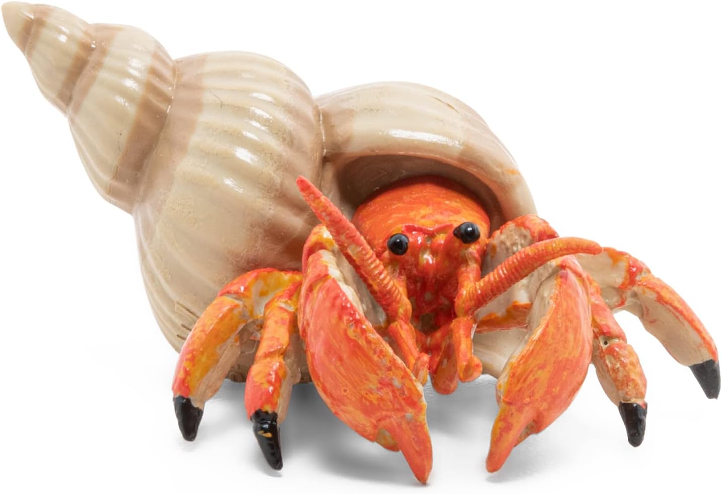 Realistic Hermit Crab Figure - Ages 3+ - Marine Life Collection - Educational Play Ocean Discovery - Gift Idea Toy for Girls and Boys